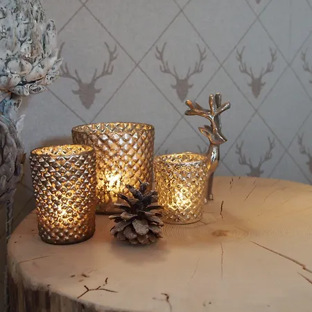 Otel Edelweiss Ostrava