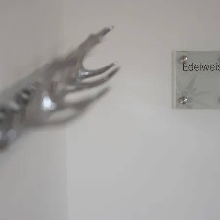 Edelweiss Hotel 2*