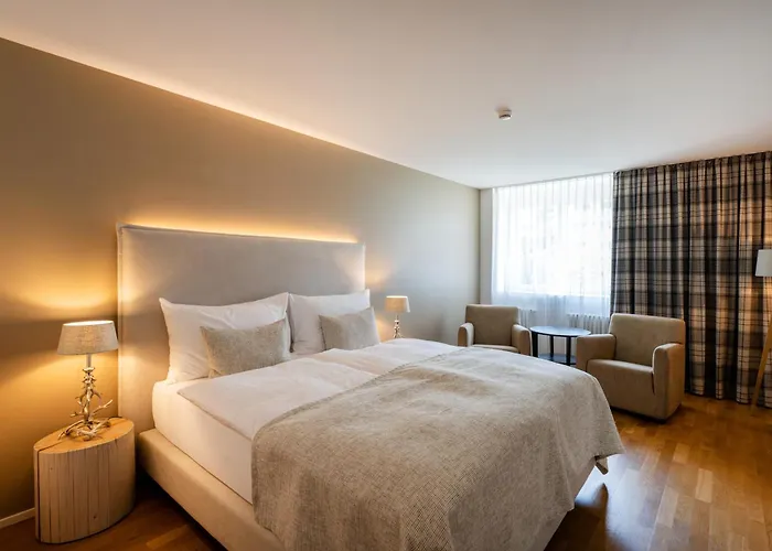 雪绒花酒店 酒店 2*