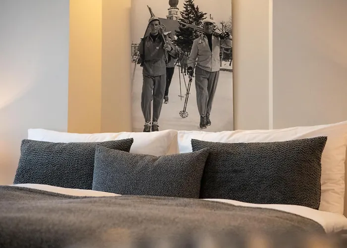 雪绒花酒店 达沃斯