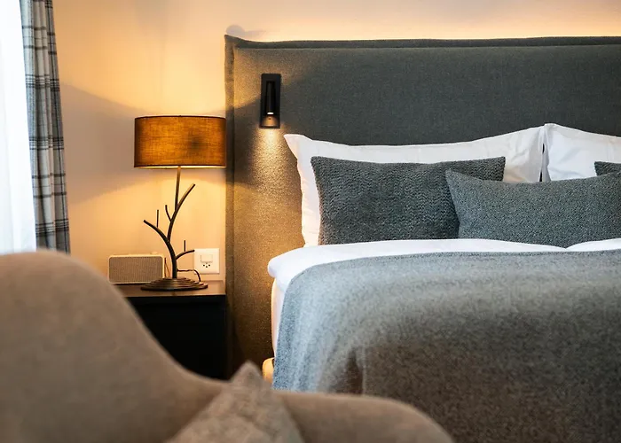 雪绒花酒店 达沃斯