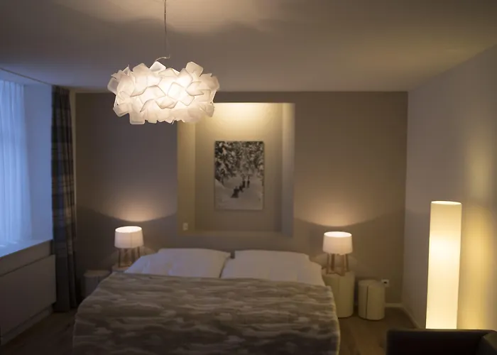 雪绒花酒店 达沃斯