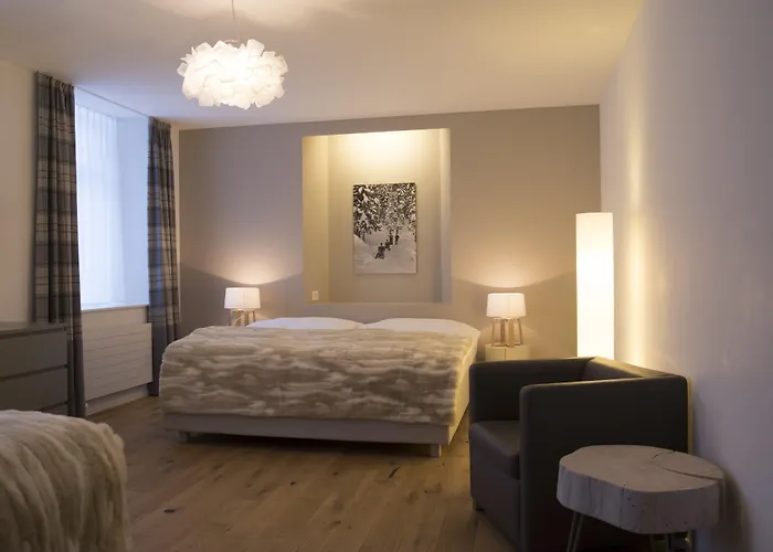 雪绒花酒店 酒店 2*