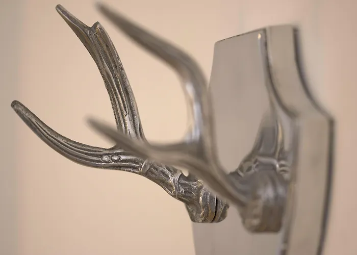 雪绒花酒店 酒店 达沃斯