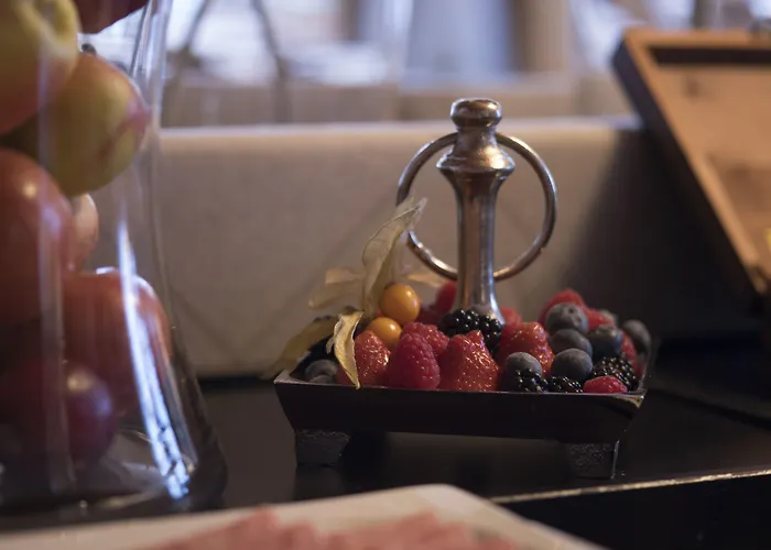 酒店 雪绒花酒店 2*