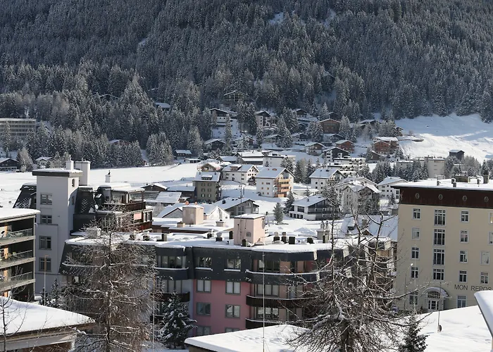 雪绒花酒店 达沃斯